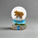 Montana Brown Bear Snow Globe