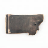 Bronze belt buckle with a white background