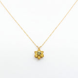 Gold necklace with pendant in a Montana Sapphire jewelry box on a white background