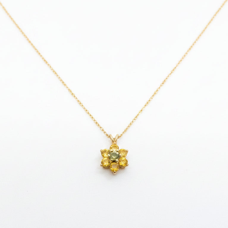 Gold necklace with pendant in a Montana Sapphire jewelry box on a white background