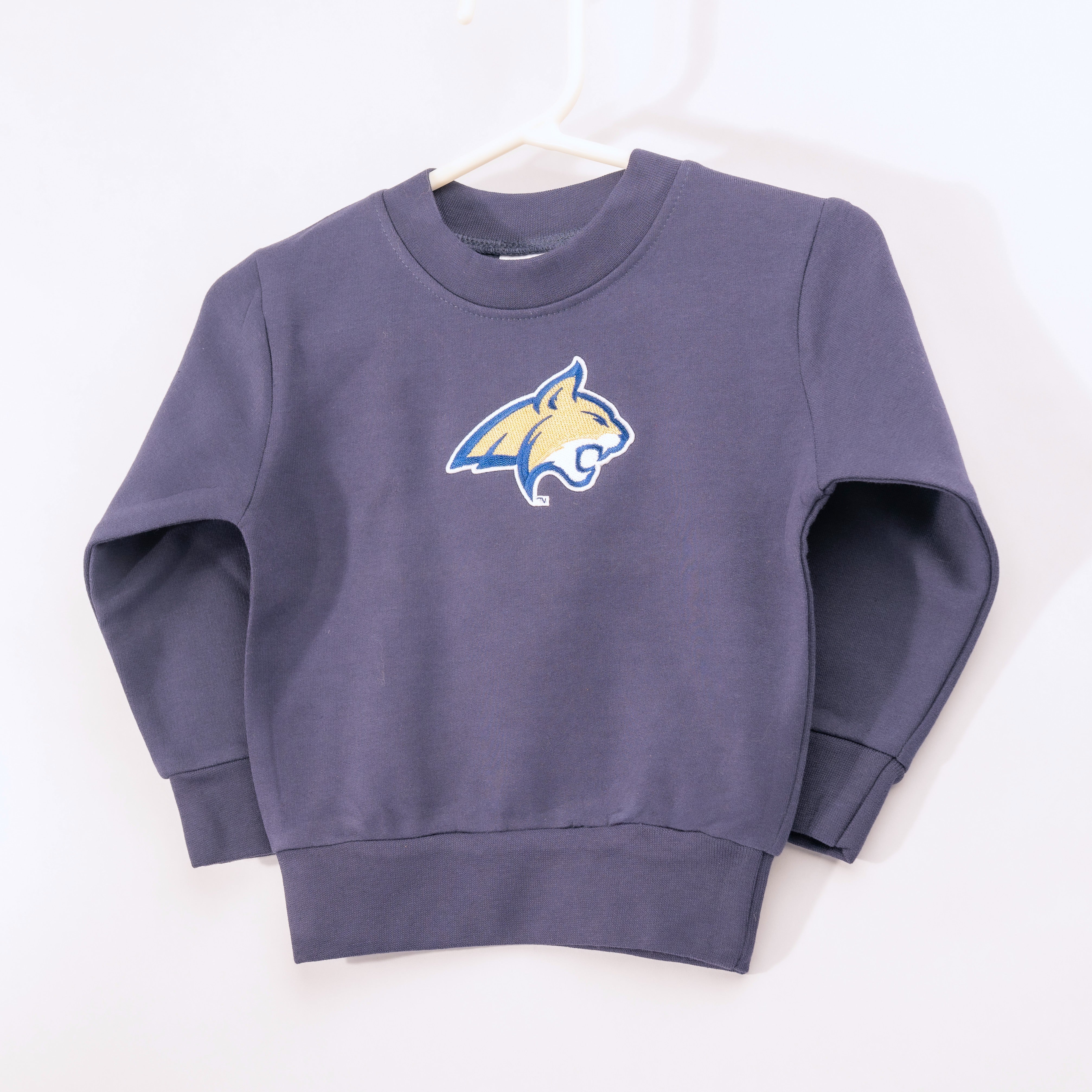 blue sweatshirt with a logo on a white background