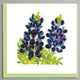 Floral Square Greeting Card by Quilling Card (17 Designs)