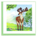 Wildlife Square Greeting Card by Quilling Card (21 Styles)