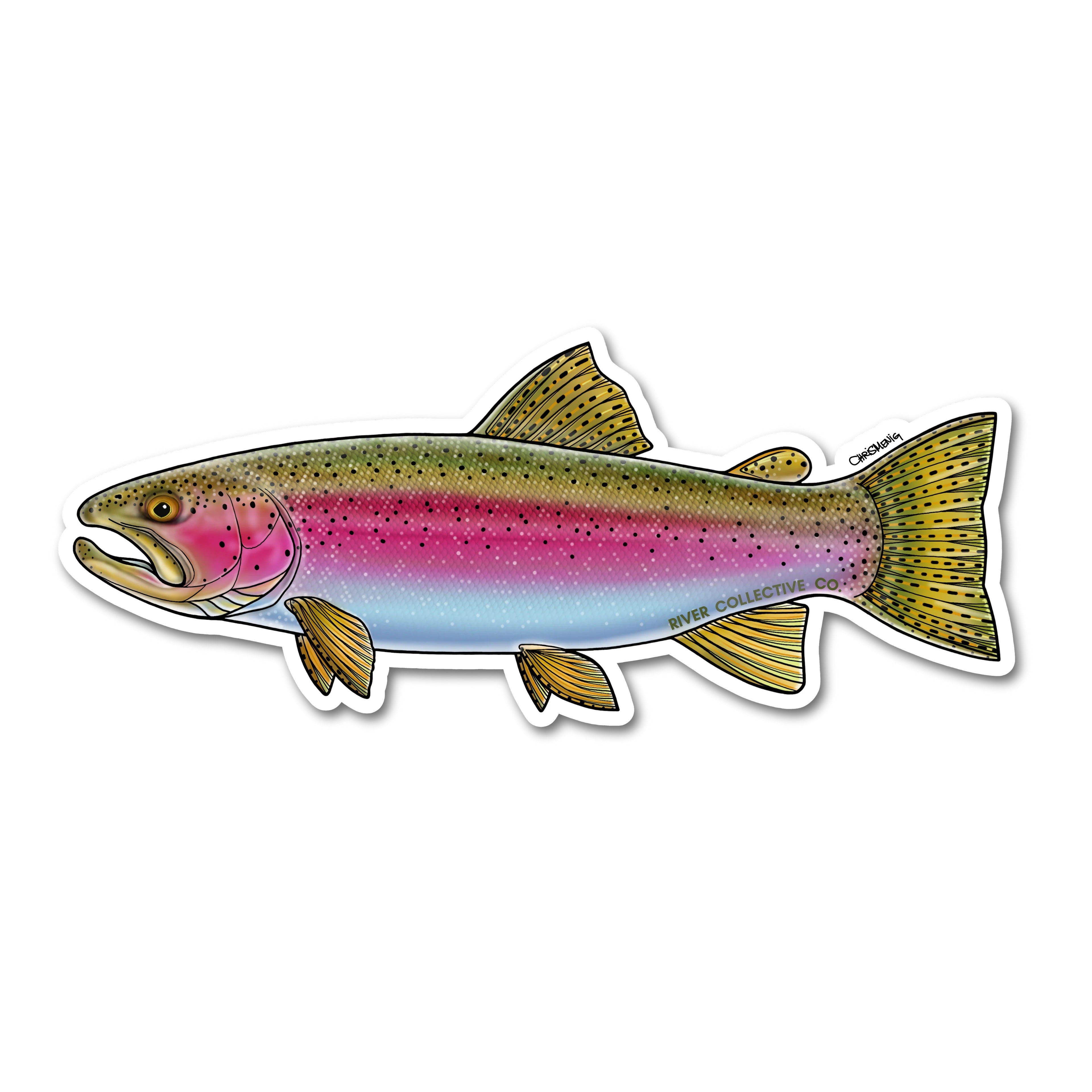 A die-cut vinyl sticker of a rainbow trout, featuring a detailed illustration of the fish with its characteristic pink, green, and yellow colors, shown on a plain white background.