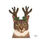 Pet Napkins by Paperproducts Design (14 Designs)