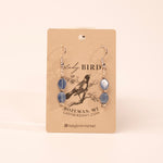 Silver Kyanite Dangle Gemstone Earrings