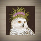 Bird Napkins by Paperproducts Design (22 Designs)
