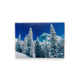 Winter Scene Table Top Lit Wall Art by Oak Street Wholesale (14 Styles)