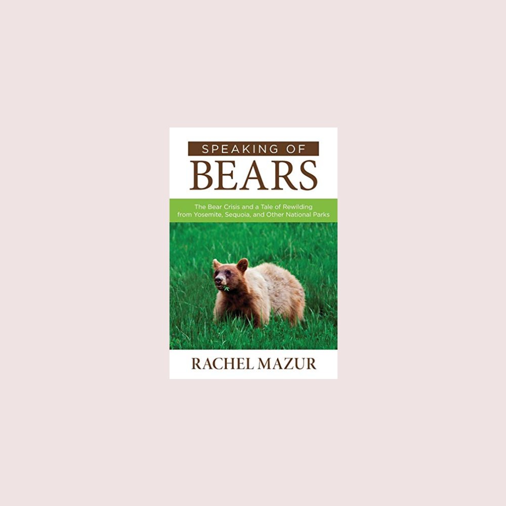 Speaking of Bears by Rachel Mazur
