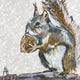 Squirrel Portrait Napkins by Paperproduct Designs