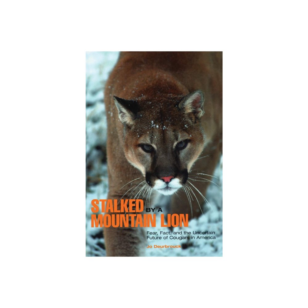 Stalked by a Mountain Lion by Jo Deurbrouck