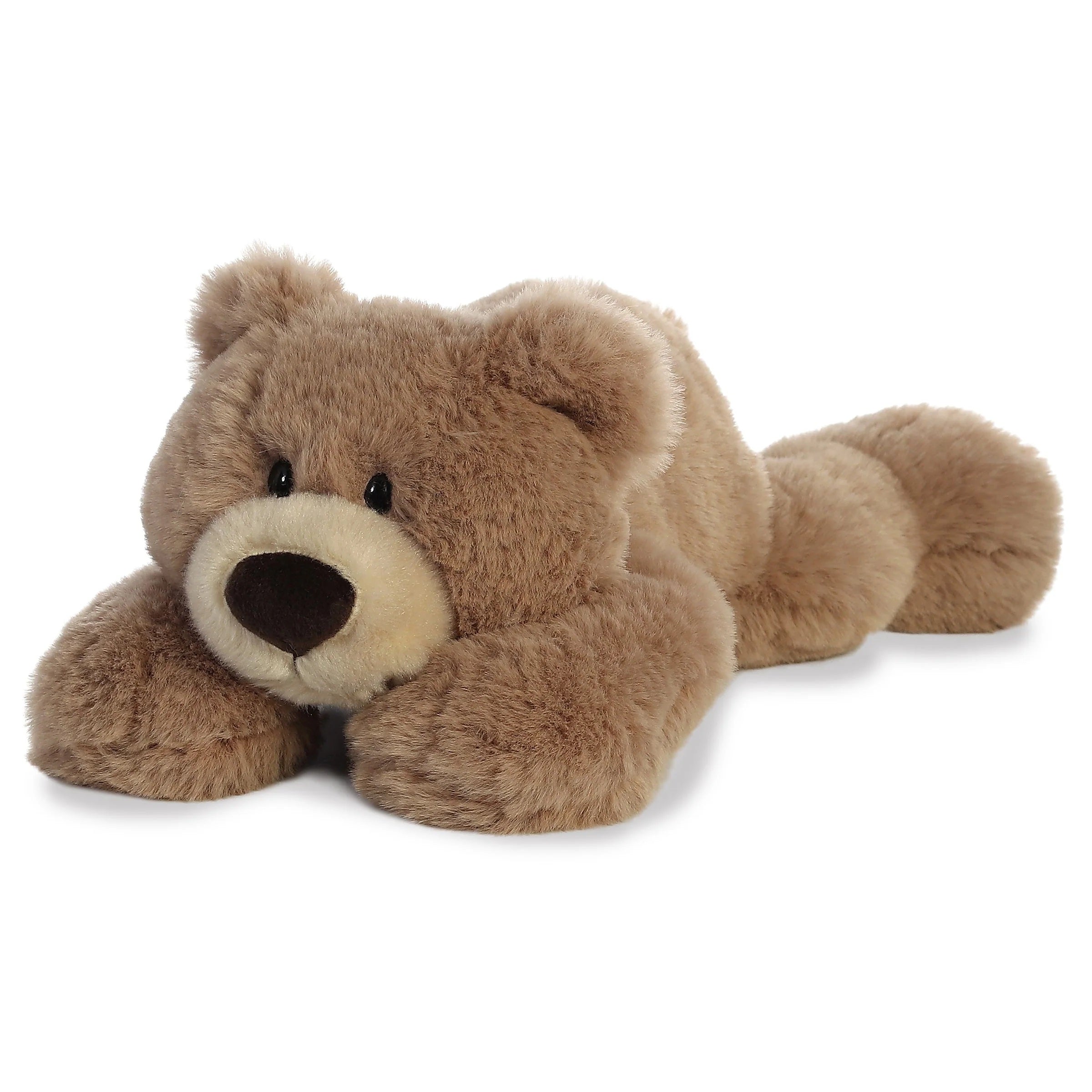 Plush teddy bear on a white background