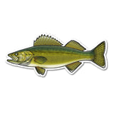 Walleye Decal by River Collective Co.
