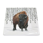 Small Square Plate by Paperproducts Design (2 Designs)