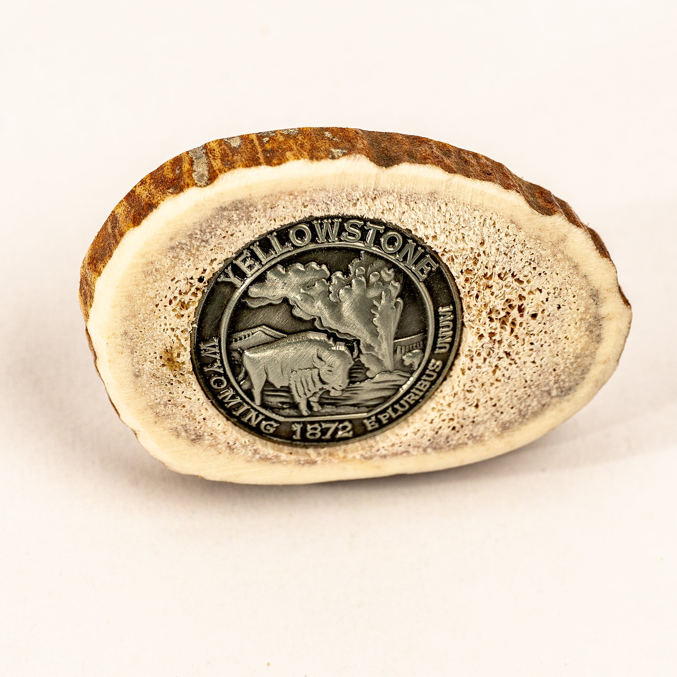 Magnet crafted from sliced antler with a medallion of yellowstone national park at it's center on a white studio background