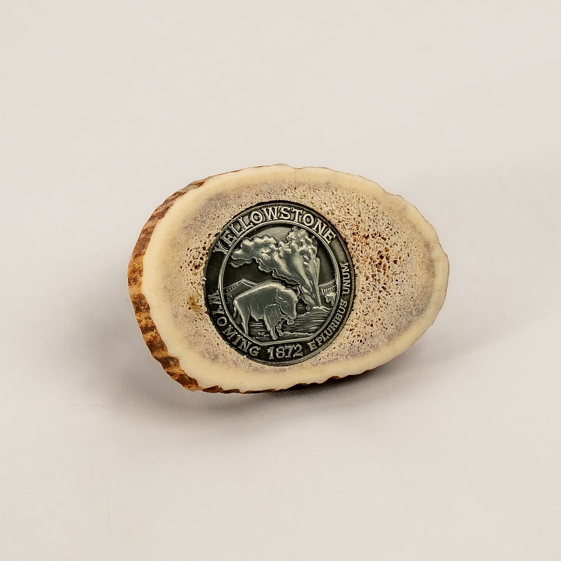 Magnet crafted from sliced antler with a medallion of yellowstone national park at it's center on a white studio background