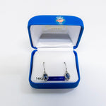 Pair of silver earrings with blue stones in a blue jewelry box on a white background