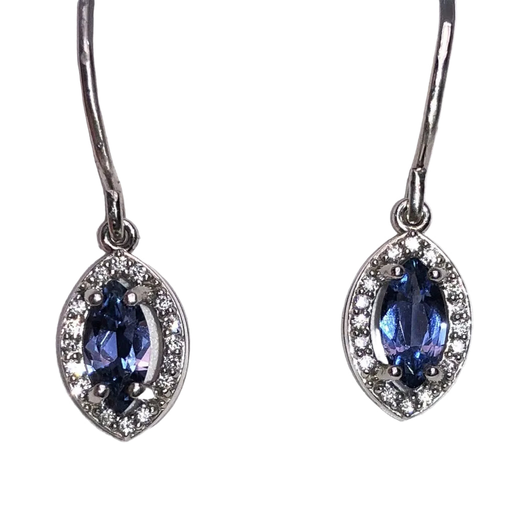 Pair of earrings with blue gemstones on a white background