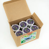 Coffee Pods by Morning Glory Coffee (3 Blends)