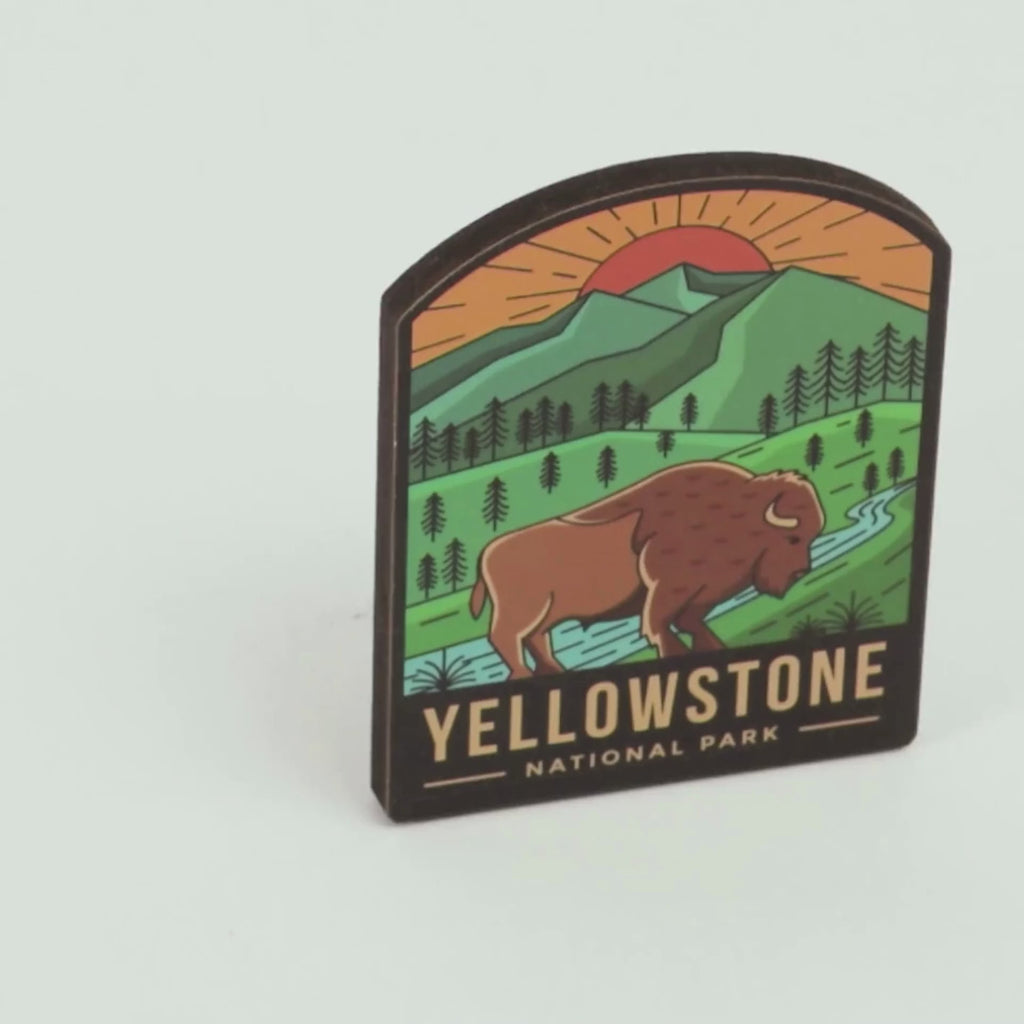 Yellowstone National Park pin on packaging with mountain and bison design