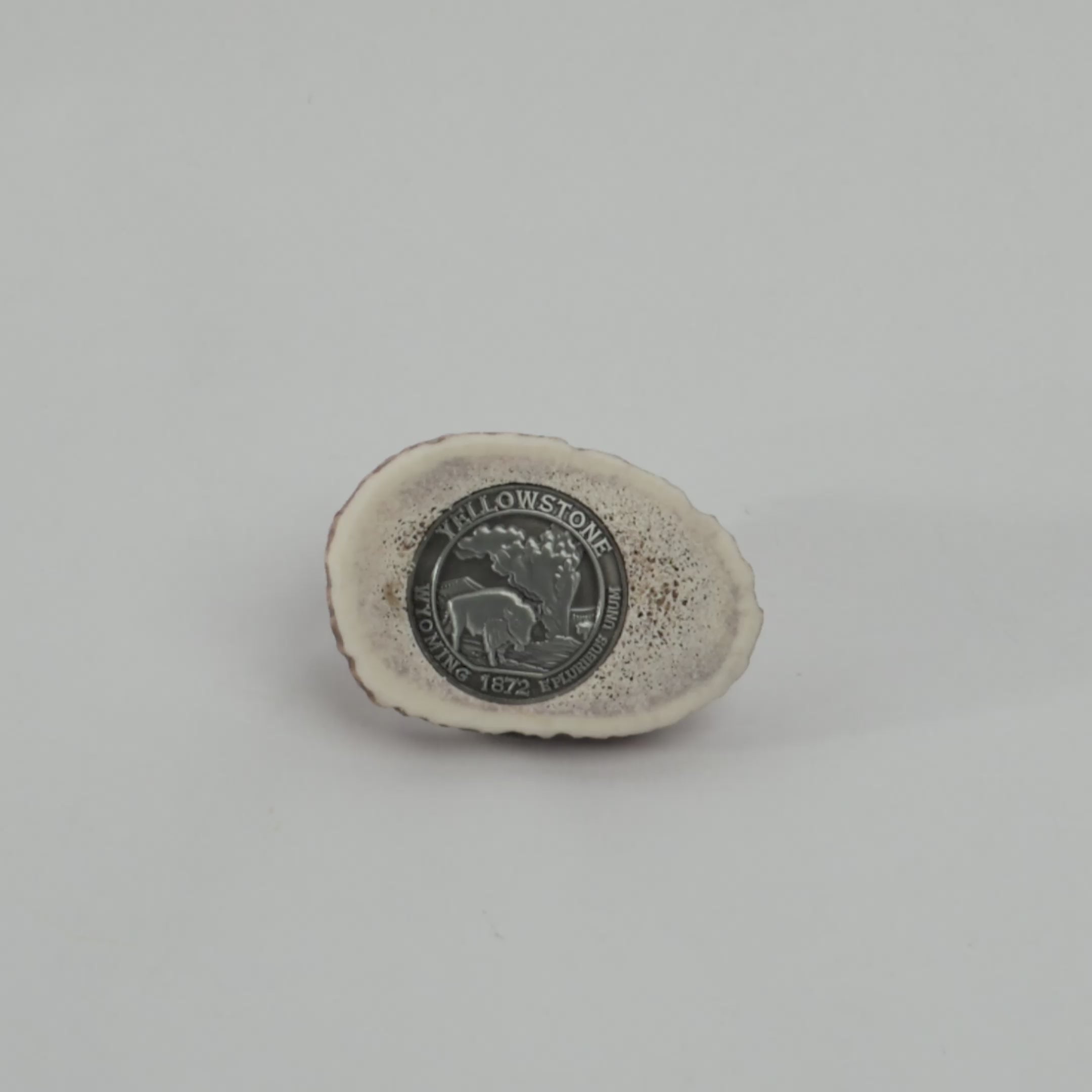 Magnet crafted from sliced antler with a medallion of yellowstone national park at it's center on a white studio background