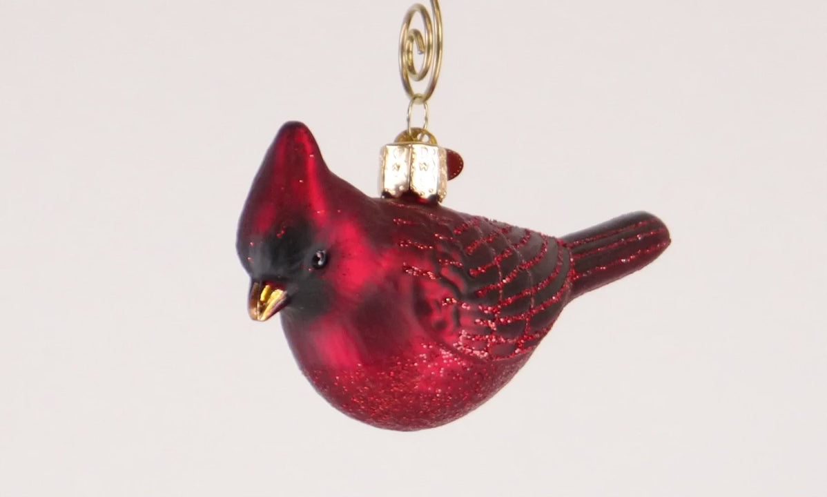 Northern Cardinal Ornament - video