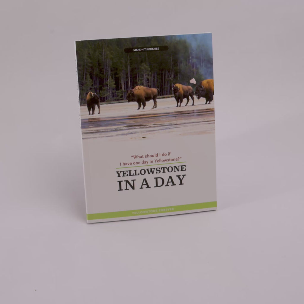A physical copy of the book 'Yellowstone in a Day' by Yellowstone Forever, standing upright against a neutral light gray background. The cover features a photograph of bison in Yellowstone National Park, with a light gray lower section containing the title and a bright green stripe at the bottom.