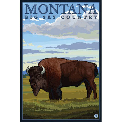 Bison Montana Magnet
