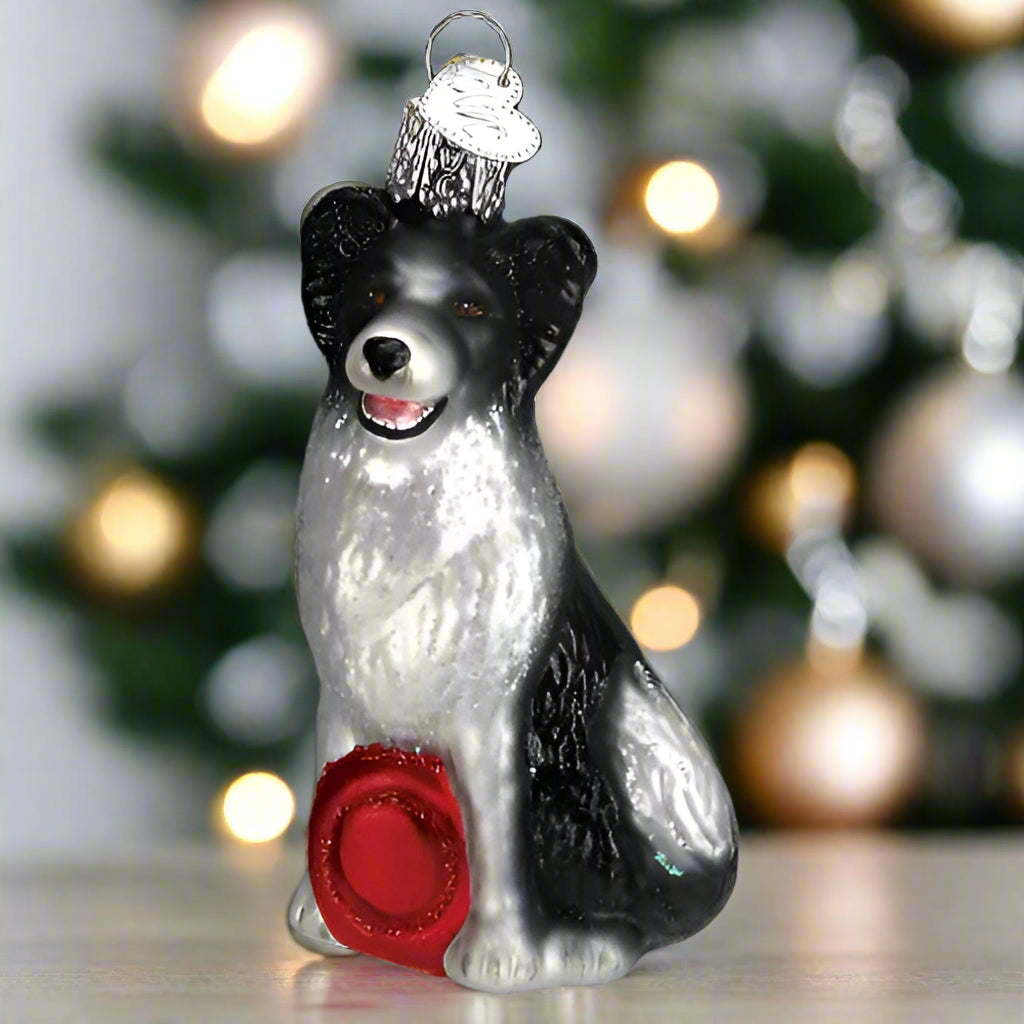 Border Collie Glass Ornament
