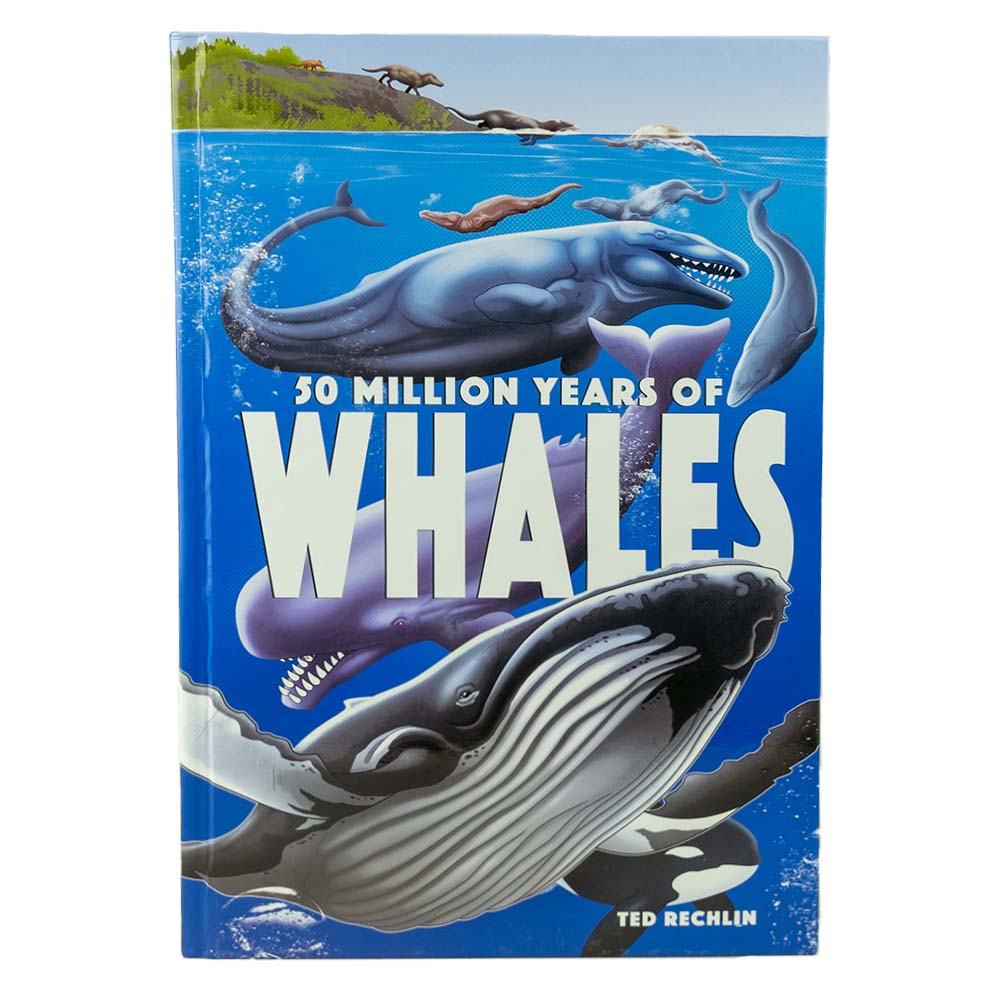 50 Million Years of Whales