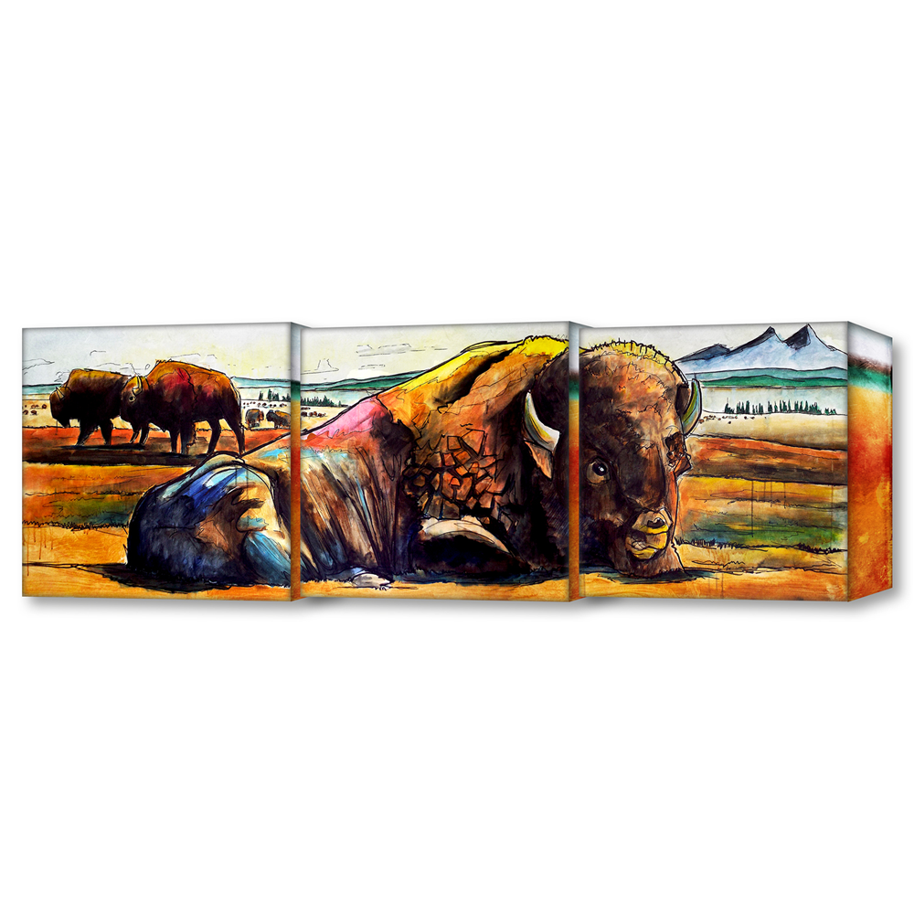 Ed Anderson 3 Aluminum Panel American Buffalo Wall Art