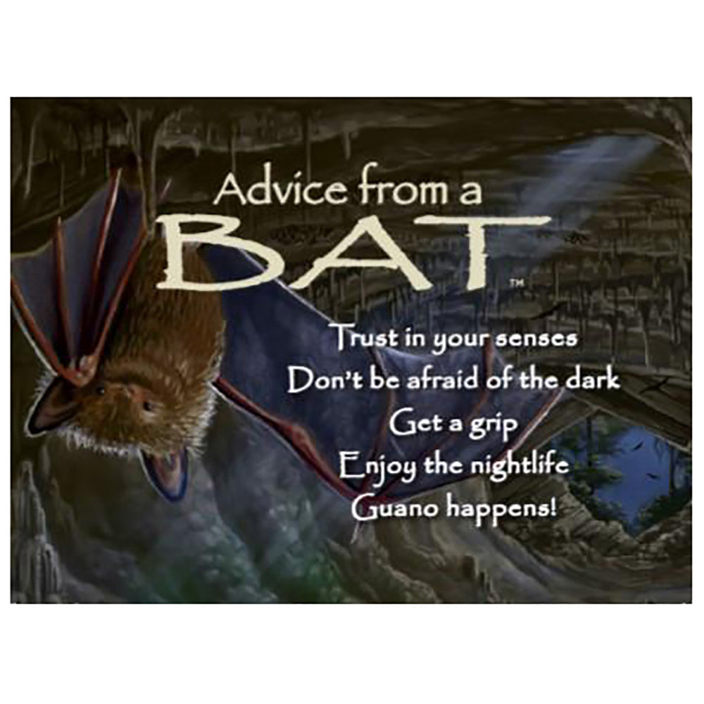 Advice From a Bat Magnet by Your True Nature