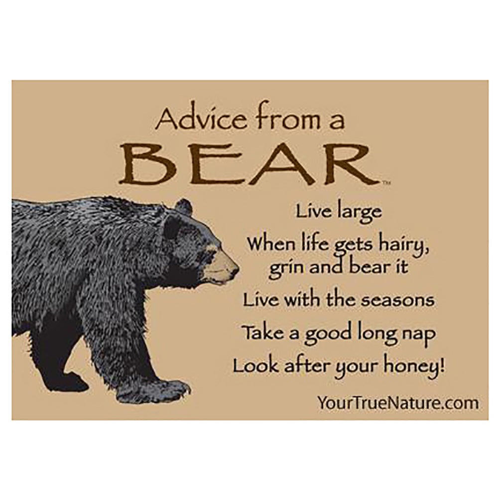 Advice From a Bear Magnet by Your True Nature