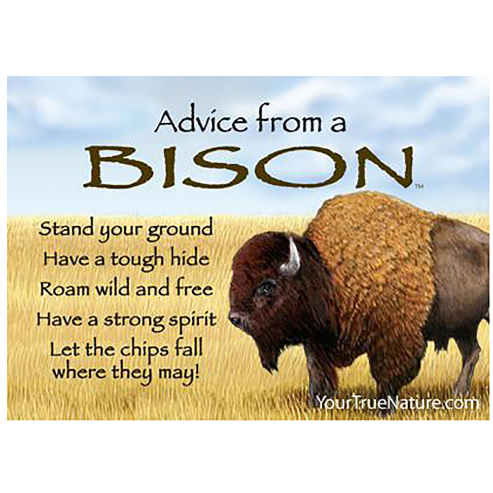 Advice From a Bison Magnet by Your True Nature