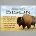 Advice From a Bison Magnet by Your True Nature