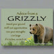 Advice From a Grizzly Magnet by Your True Nature