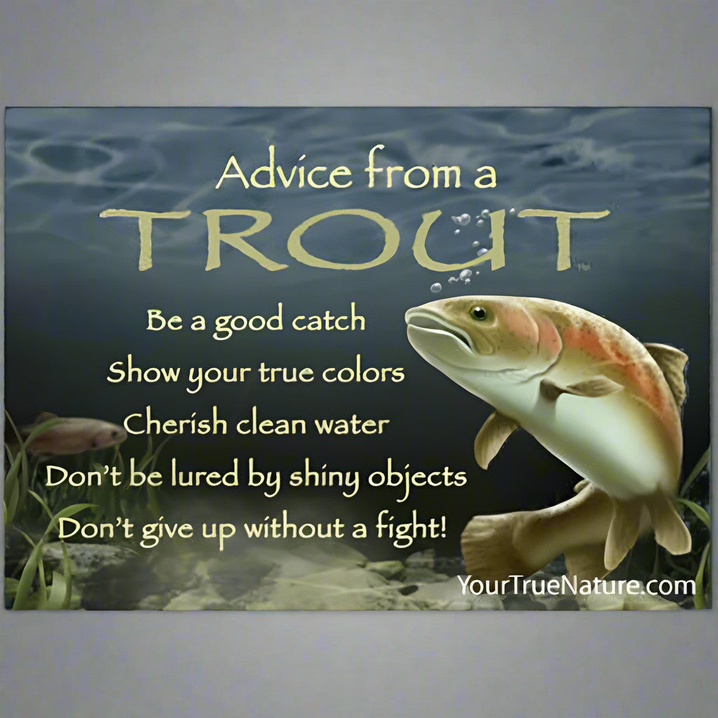Advice From Nature Magnet by Your True Nature (17 options) – Montana ...
