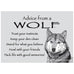 Advice From a Wolf Magnet by Your True Nature