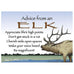 Advice From an Elk Magnet by Your True Nature