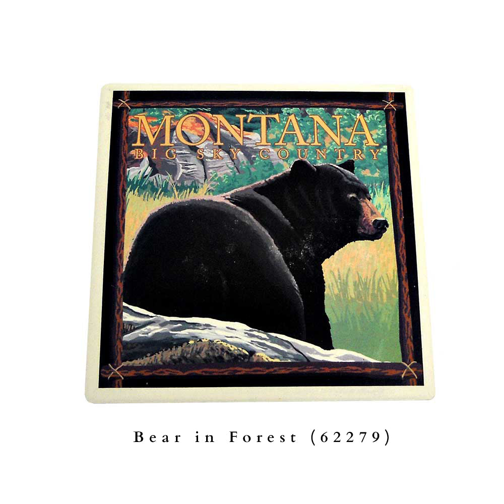 Bear in Forest Big Sky Country Montana Coaster