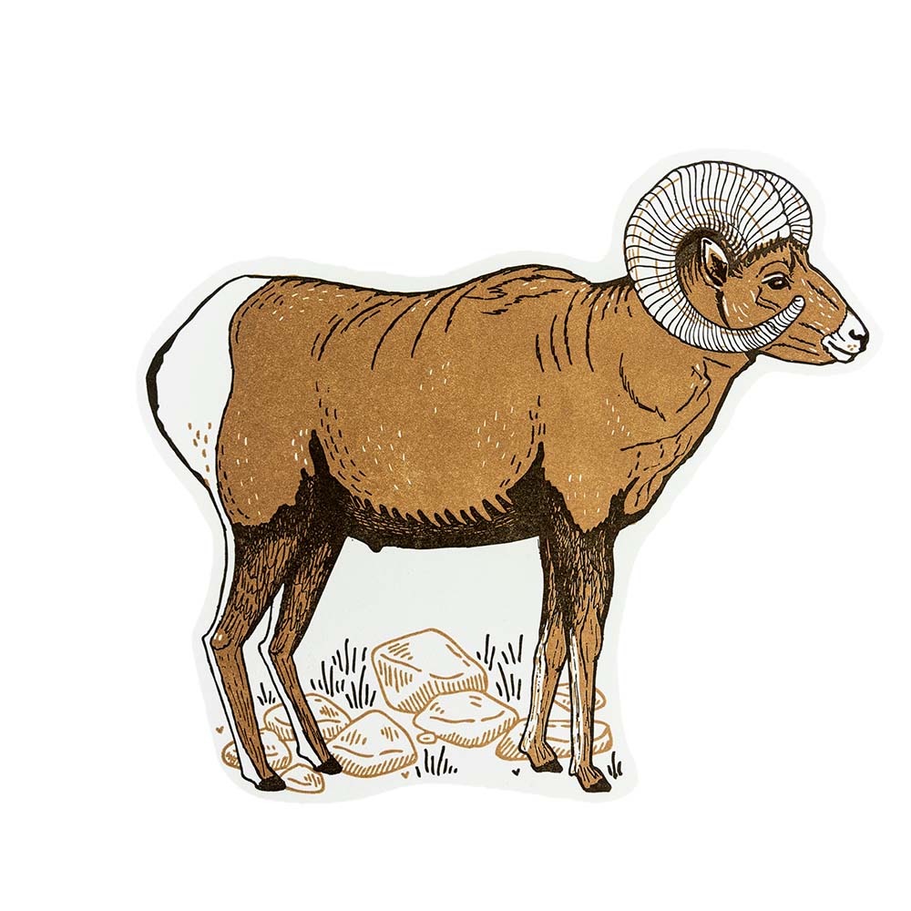 Bighorn Sheep Postcard by Noteworthy Paper & Press