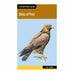 Wildlife Falcon Pocket Guide by National Book Network (4 Titles)