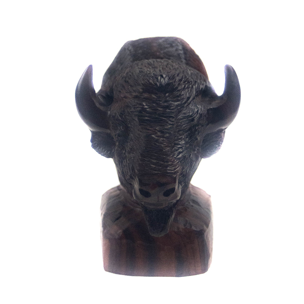 Buffalo Bust by EarthView, Inc.