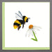 Insect Square Greeting Card by Quilling Card (9 Designs)