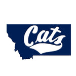 Cats Magnet - blue