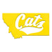 Cats Magnet - yellow