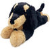 The Dachsund Warmies by Intelex USA is a heatable and cooling stuffed animal that soothes anyone to sleep! 