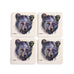 Dean Crouser Determined Bear Set of 4 