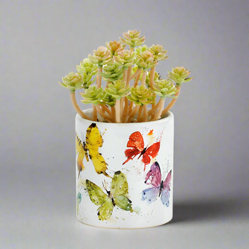 Dean Crouser Flock of Butterflies Succulent Planter