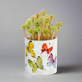 Dean Crouser Flock of Butterflies Succulent Planter